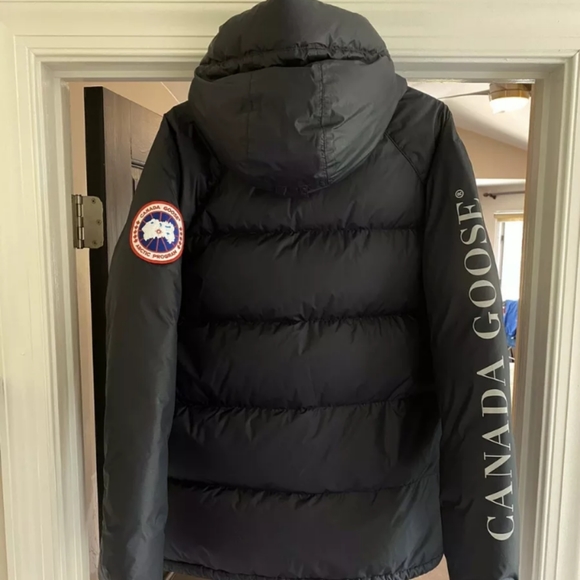 Canada goose - Picture 2 of 8